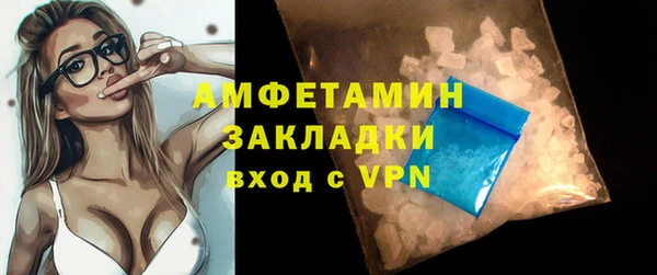 прущие грибы Гусь-Хрустальный