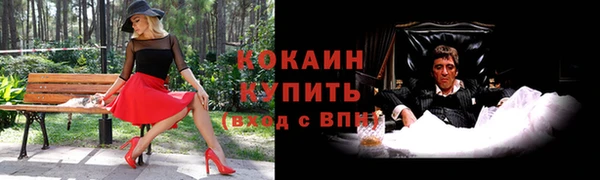 прущие грибы Гусь-Хрустальный