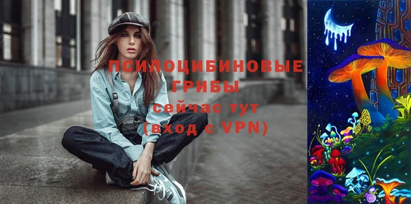 стафф Гусиноозёрск