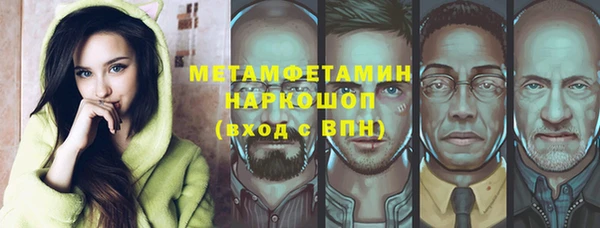 прущие грибы Гусь-Хрустальный
