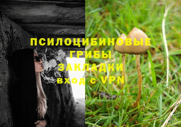 стафф Гусиноозёрск