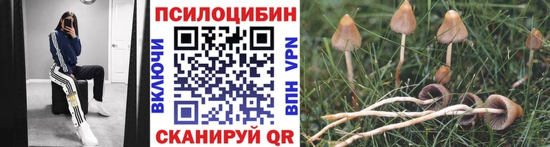 Галлюциногенные грибы Magic Shrooms  Ростов-на-Дону 